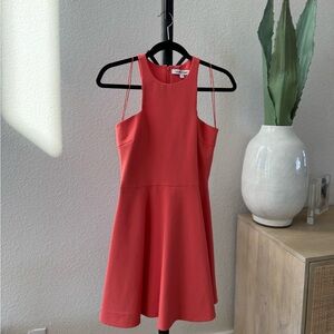 Elizabeth and James paneled fit and flare dress orange